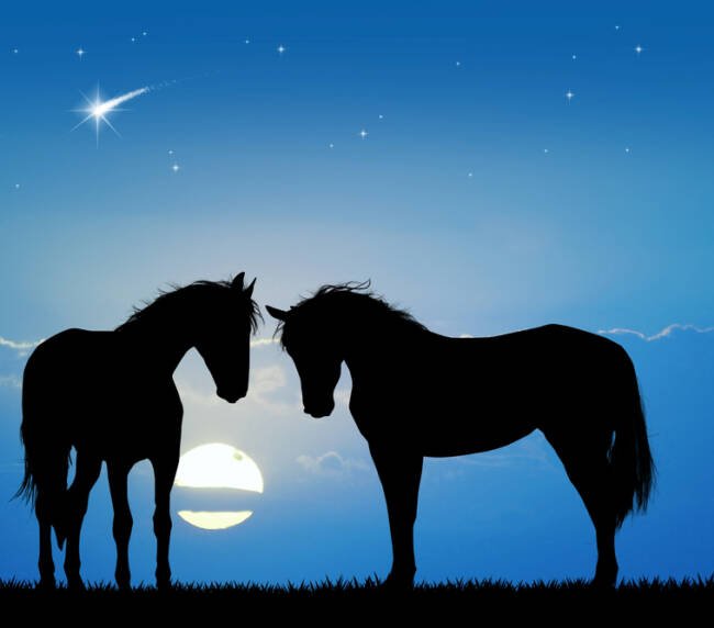 silhouettes of horses on a blue background with a comet and the moon in the background