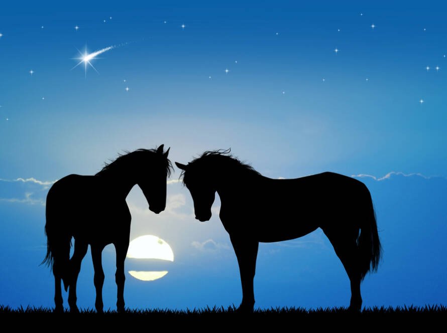 silhouettes of horses on a blue background with a comet and the moon in the background