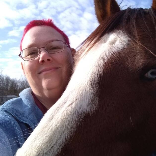 Horse Wisdom Reading