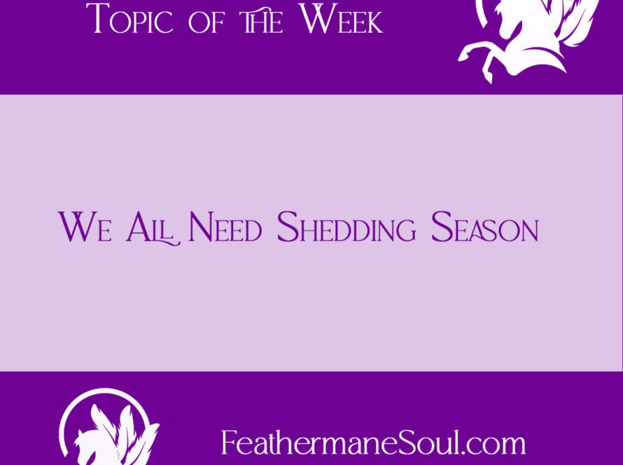 A purple and light pink image with the blog title "We All Need Shedding Season" in dark purple text with the white Feathermane Soul Logo on it and says "Horse Wisdom Blog Topic of the Week" in white across the top