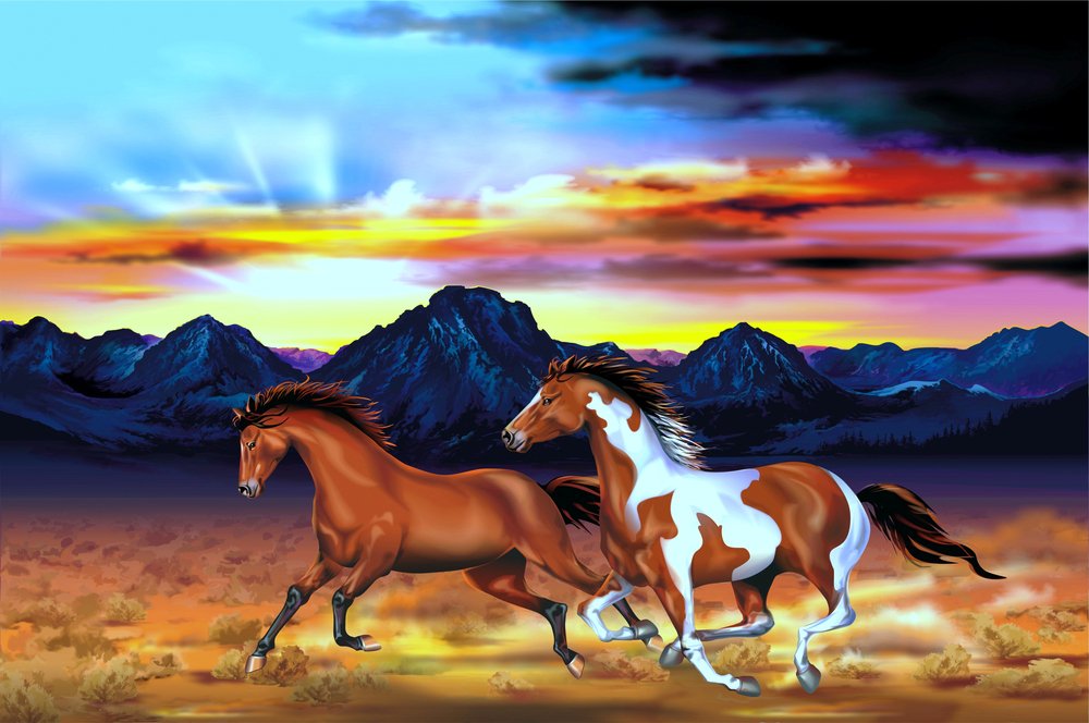 How Horses Connect Us To The Natural World
