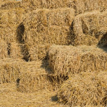 stacks of hay bales