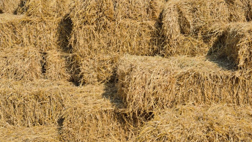 stacks of hay bales