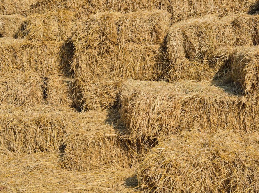 stacks of hay bales
