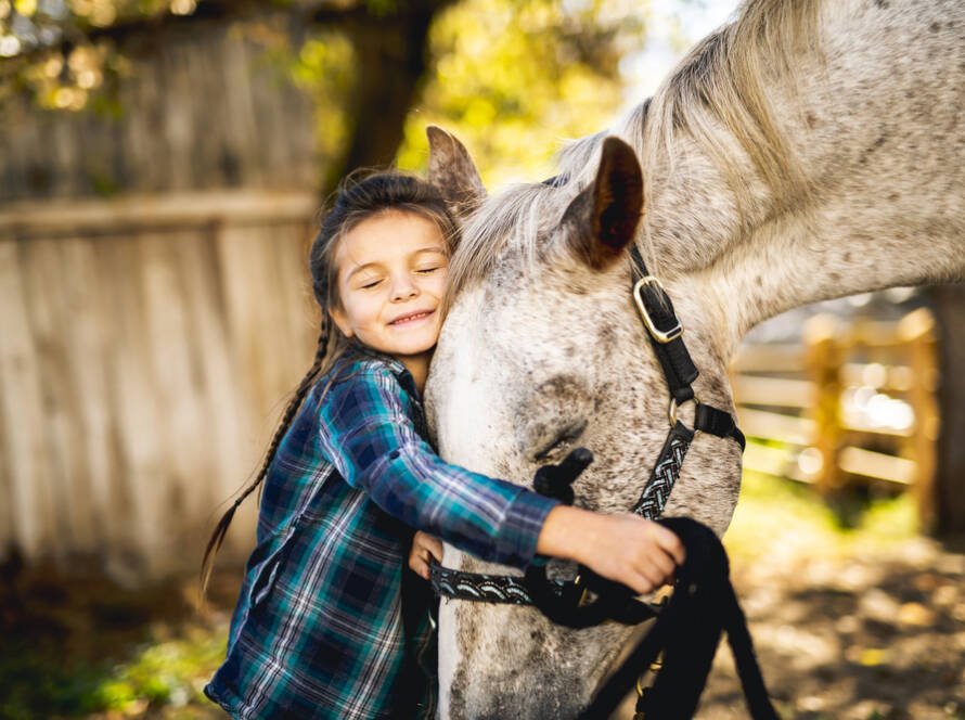 a little girl hugging a horse